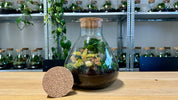 VACATURE: Orderverwerker/ Operationeel medewerker - Mierlo - 16 - 40 uur
