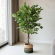 Ficus Deluxe Vine Tree 140 cm - Artificial Plant