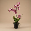 Artificial Orchid Vanda 60 cm - Old pink in pot - Artificial plant