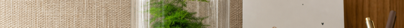 Eindejaarsbedankje voor leerkrachten: DIY mini-terrarium als cadeau