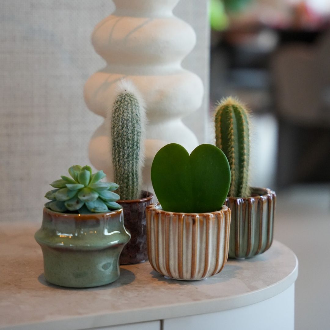 Mother’s Day gifts under €50: Original & green ideas that stand out