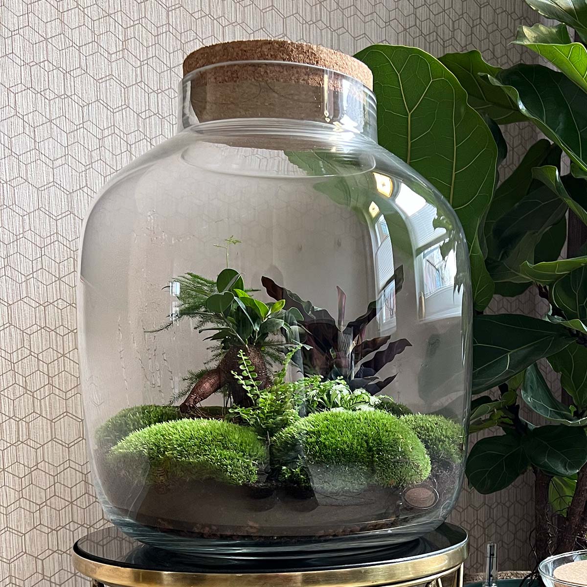 Terrarium: the perfect gift for any holiday