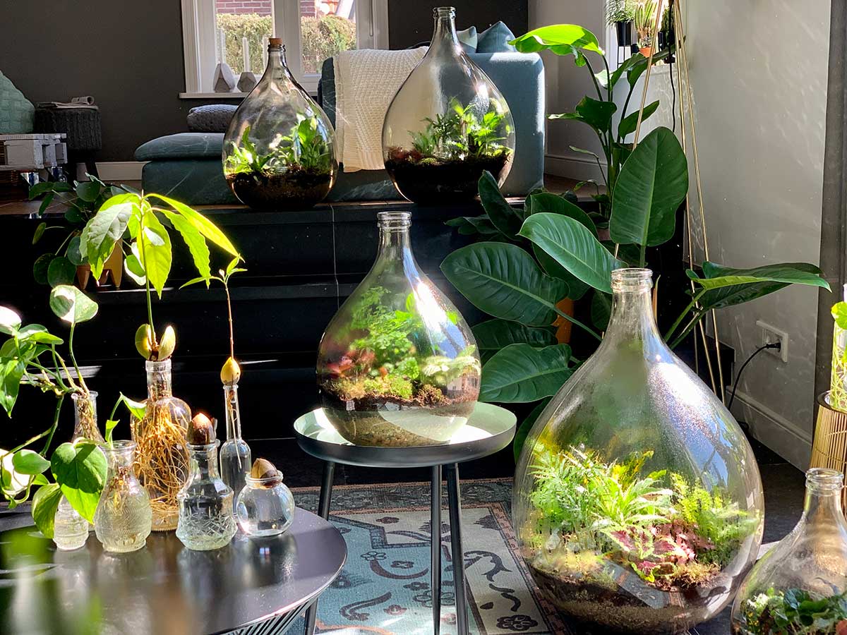 Give a sustainable gift