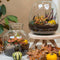 Autumn Collection