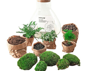 Terrarium DIY kits