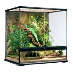 Buying a Terrarium? Unique Selection of Terrariums