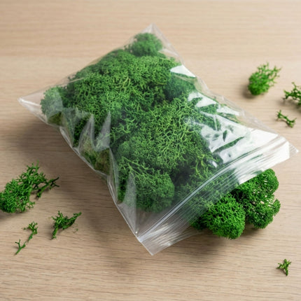 Dekoratives Rentiermoos - Grün - 1 Beutel - 50 g