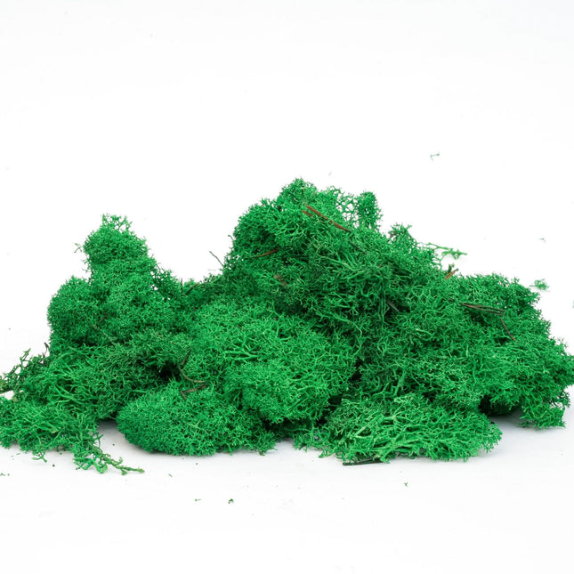 Decorative reindeer moss - Dark green - 1 Bag - 50g