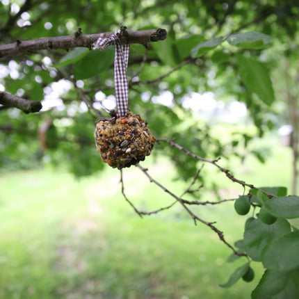 DIY-Vogelfutter-Tannenzapfen