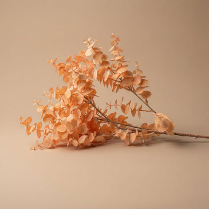 Dekorativer Kunst Eukalyptuszweig - 1 Stiel - ↑ 83 cm
