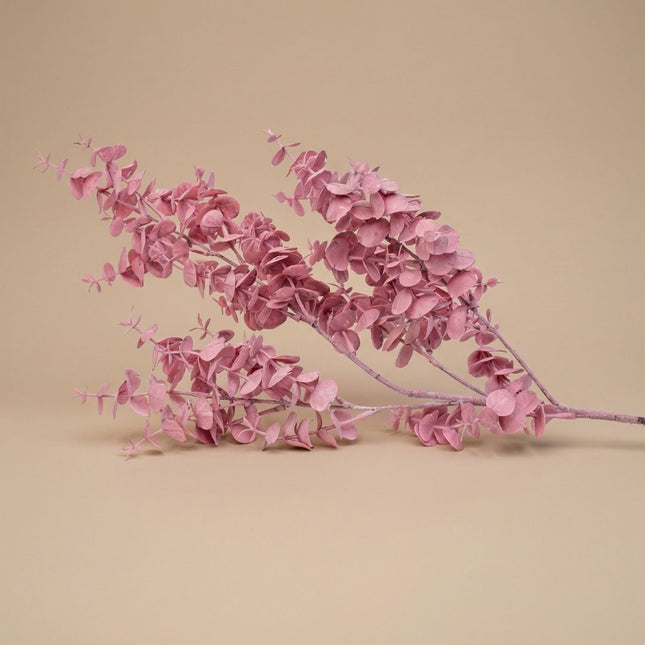 Dekorativer Kunst Eukalyptuszweig - 1 Stiel - ↑ 83 cm