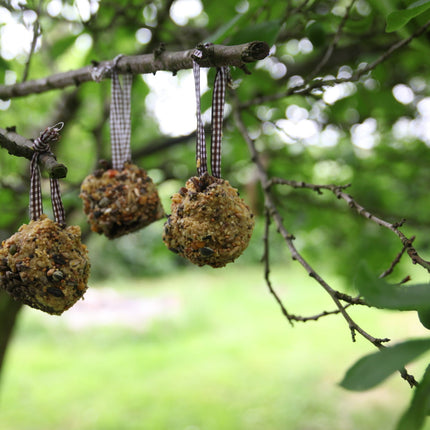 Pommes de pin mangeoire DIY