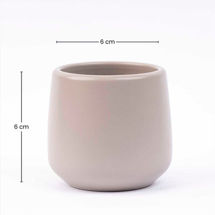 Joey - Mini Pflanzentopf - Grau - Ø 6 cm ↑ 6 cm