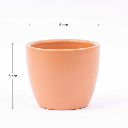 Toscana Matt - Mini Pflanzentopf - Kugeltopf Terrakotta - Ø 6 cm ↑ 6 cm