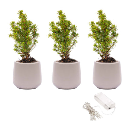 Mini-sapin set 3 - Avec 3x pot Joey gris + 20 lumières LED