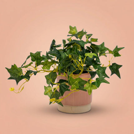 Ivy Hedera - Hängepflanze im Topf - Kunstpflanze - Grün - ↑ 19 cm