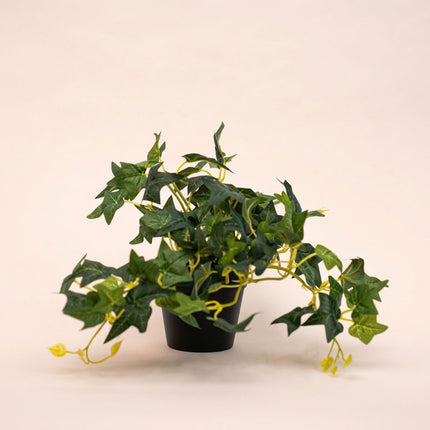 Ivy Hedera - Hängepflanze im Topf - Kunstpflanze - Grün - ↑ 19 cm