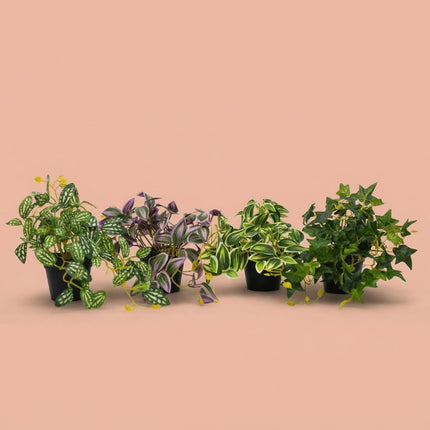 Ivy Hedera - Hängepflanze im Topf - Kunstpflanze - Grün - ↑ 19 cm