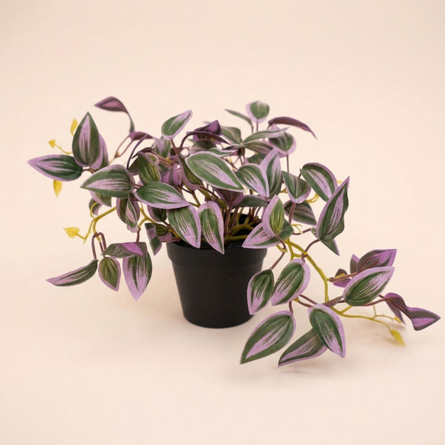 Tradescantia - Hängepflanze im Topf - Kunstpflanze - Grün/Lila - ↑ 19 cm