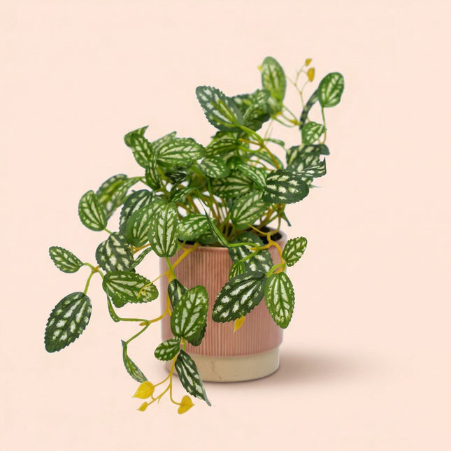 Pilea - Hängepflanze im Topf - Kunstpflanze - Grün/Weiß - ↑ 19 cm