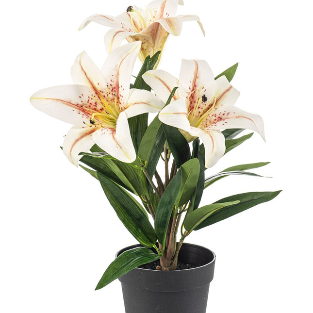 Lily in pot - Cream - Artificial plant - ↑ 33 cm