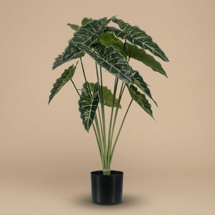 Alocasia 80 cm - Künstliche Pflanze