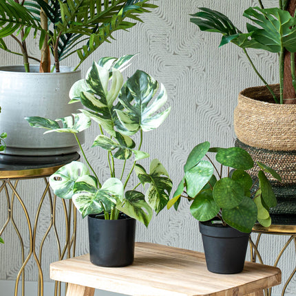 Urban Jungle L - Bündelprodukt - Kunstpflanzen
