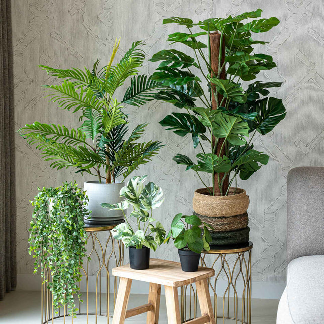 Urban jungle L - Bundle product - Artificial plants