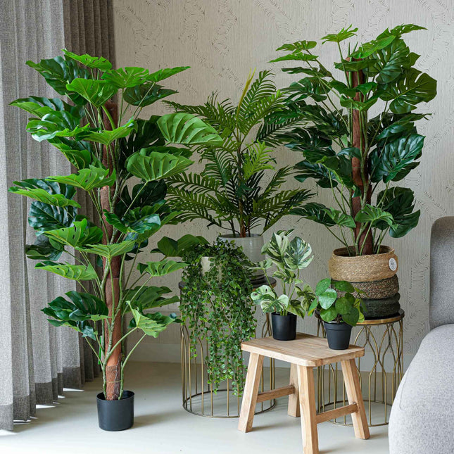 Urban jungle XL - Bundle product - Artificial plants