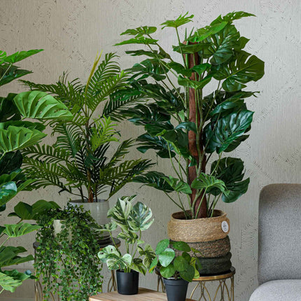 Urban jungle XL - 6 pcs - Bundle product - Artificial plants