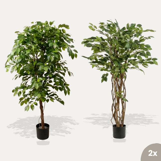 Ficus tree in Pot 2pcs - Bundle product - Artificial plants