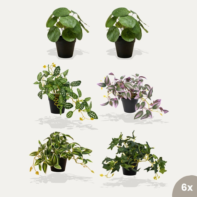 Mini plants XL - Bundle product - Artificial plants