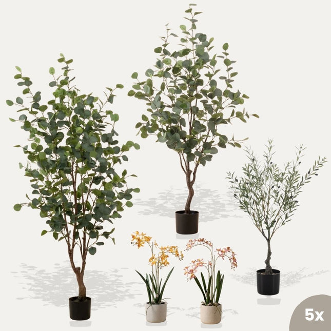 Ibiza set - 5 pcs - Bundle product - Artificial plants