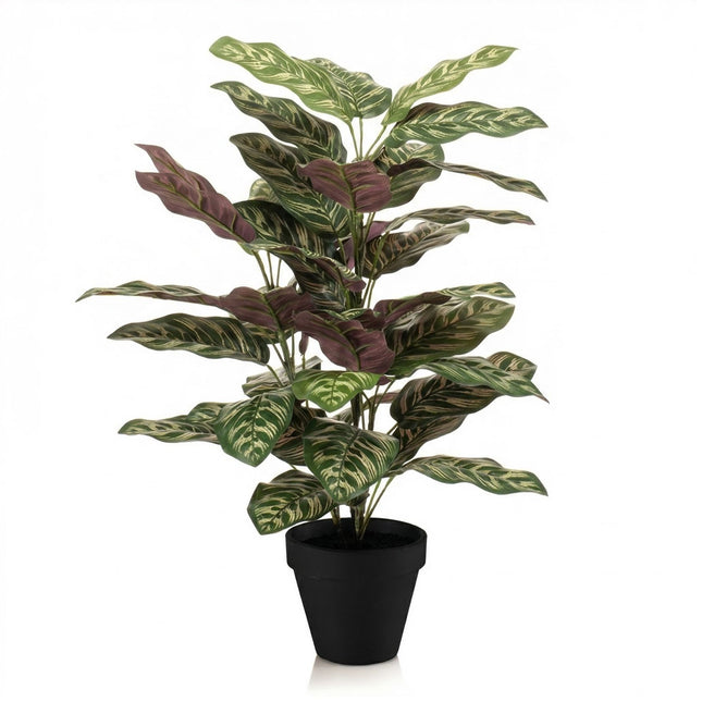 Calathea Bush im Topf - Kunstpflanze - 65 cm