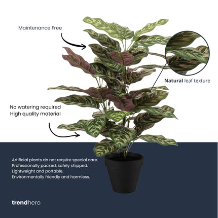 Calathea Bush im Topf - Kunstpflanze - 65 cm