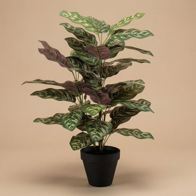 Calathea Bush im Topf - Kunstpflanze - 65 cm