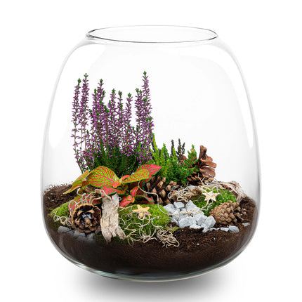 Cosy - Winter terrarium - Bottle garden DIY kit - Ø 23 cm ↑ 25 cm
