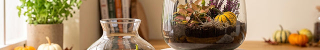 DIY autumn terrarium kit with mini pumpkins and moss in a glass bottle