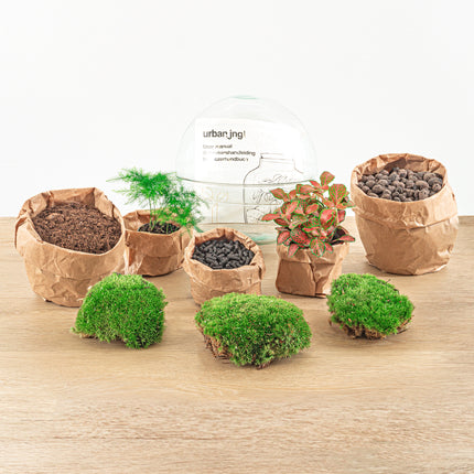 Kit DIY Terrarium • Dôme • Écosystème avec plantes • ↑ 20 cm