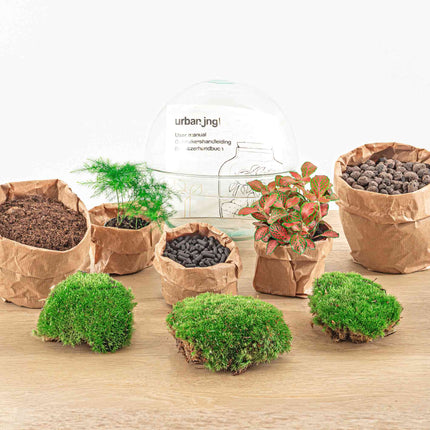 Kit DIY Terrarium • Dôme • Écosystème avec plantes • ↑ 20 cm