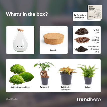 Drop XL Rot - Flaschengarten mit Korken - DIY Terrarium mit Pflanzen im Glas - Ø 24 cm ↑ 37 cm