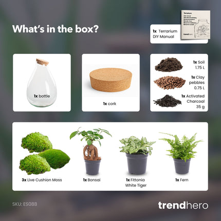 Drop XL Grun - Flaschengarten mit Korken - DIY Terrarium mit Pflanzen im Glas - Ø 24 cm ↑ 37 cm