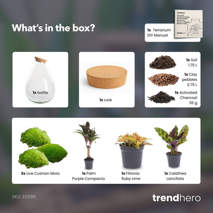 Drop XL Palme - Flaschengarten mit Korken - DIY Terrarium mit Pflanzen im Glas - Ø 24 cm ↑ 37 cm