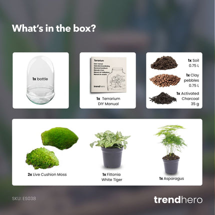 Egg XL - Flaschengarten - Zweiteilige Glaskuppel - DIY Terrarium mit Pflanzen im Glas - Ø 17,5 cm ↑ 30 cm