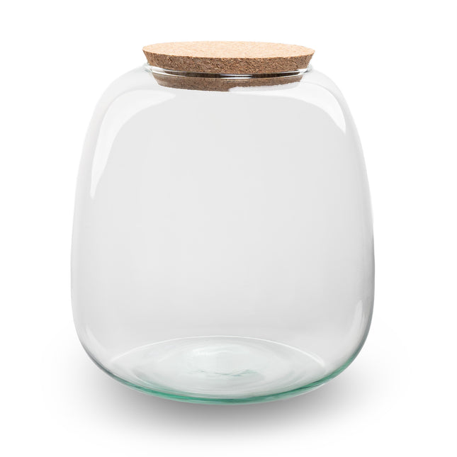 Terrarium Flasche ‘Emma Mini’ mit Korken - Geschlossenes Terrarium Ø 19 cm ↑ 20 cm