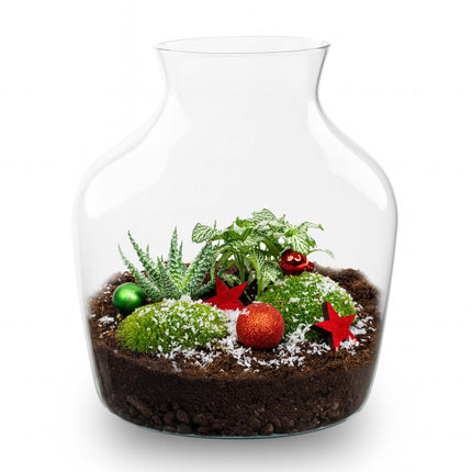 Evergreen - Christmas terrarium - Bottle garden DIY kit - Ø 20 cm ↑ 22 cm