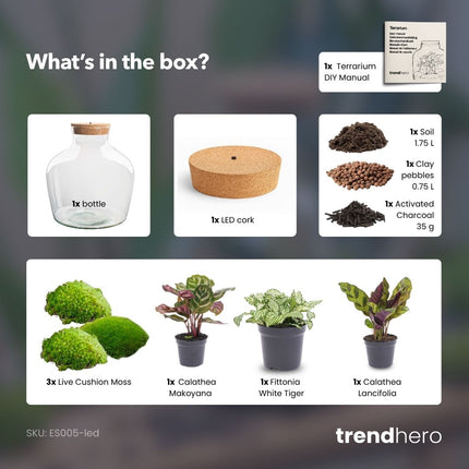 Fat Joe - Terrarium with light - Bottle garden DIY kit - Ø 29 cm ↑ 30 cm