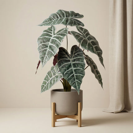 Alocasia Busch im Topf 40 cm - Kunstpflanze