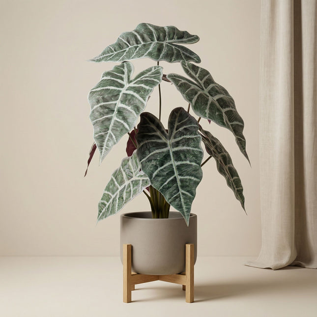 Alocasia Busch im Topf 40 cm - Kunstpflanze