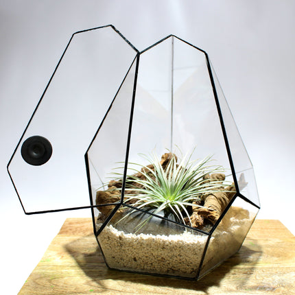 Geometric Terrarium - Jungle Gem - Vivarium - ↑ 16 x 15 x 19,5 cm (LxWxH) - Glas